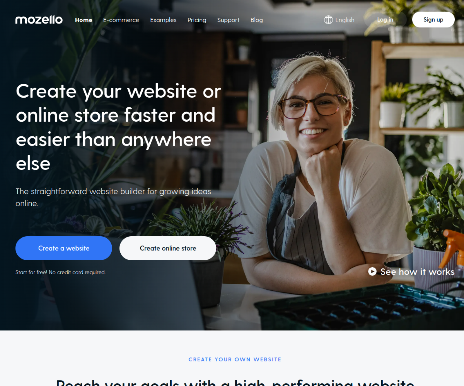 Mozello website preview