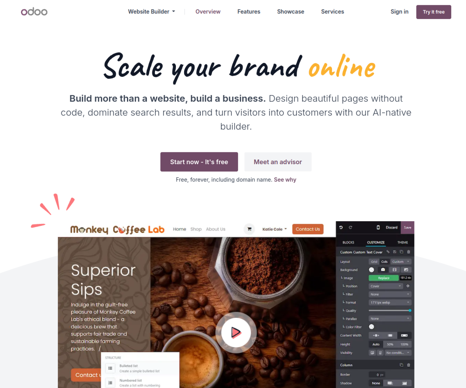 Odoo Website website preview