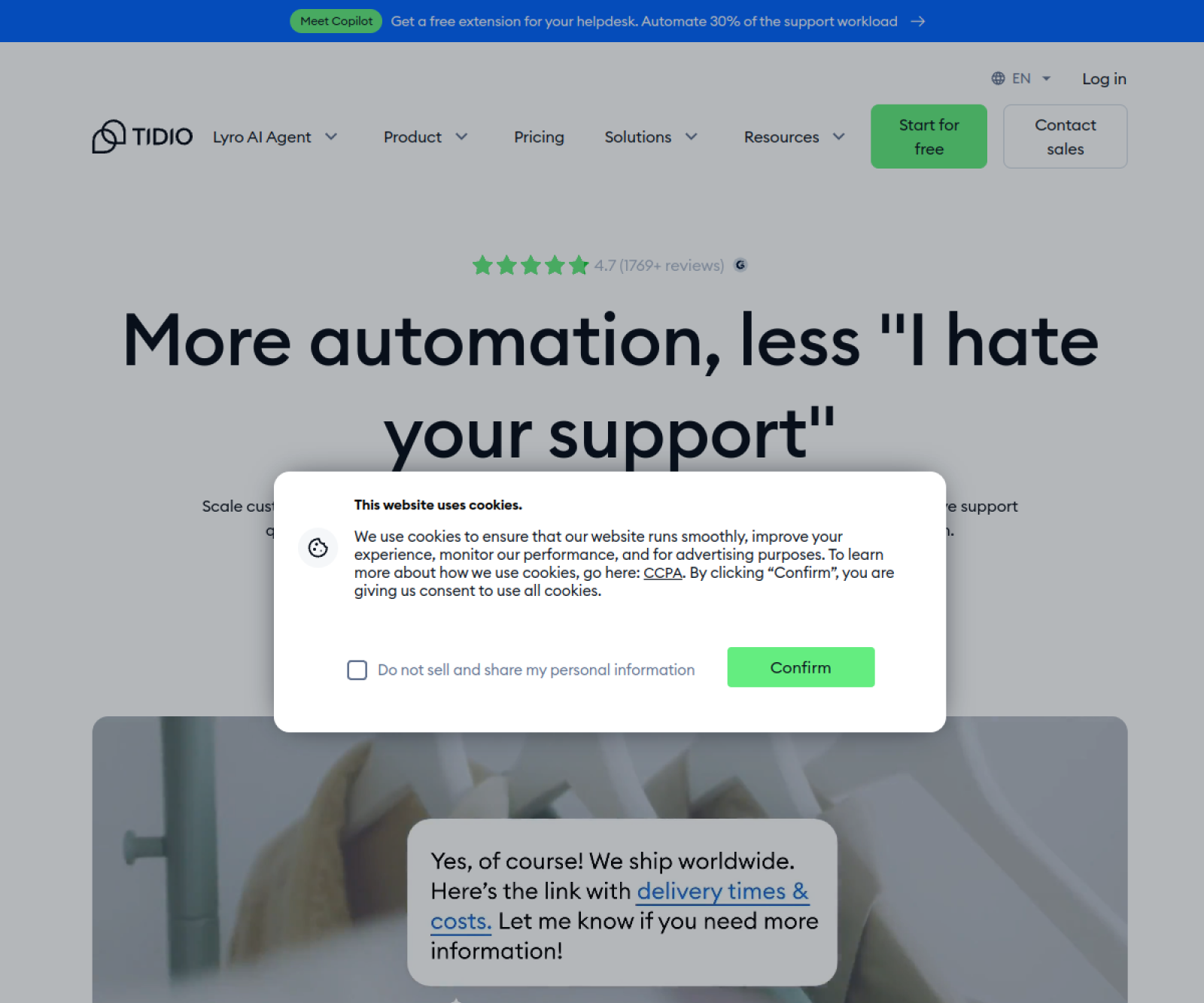 Tidio website preview