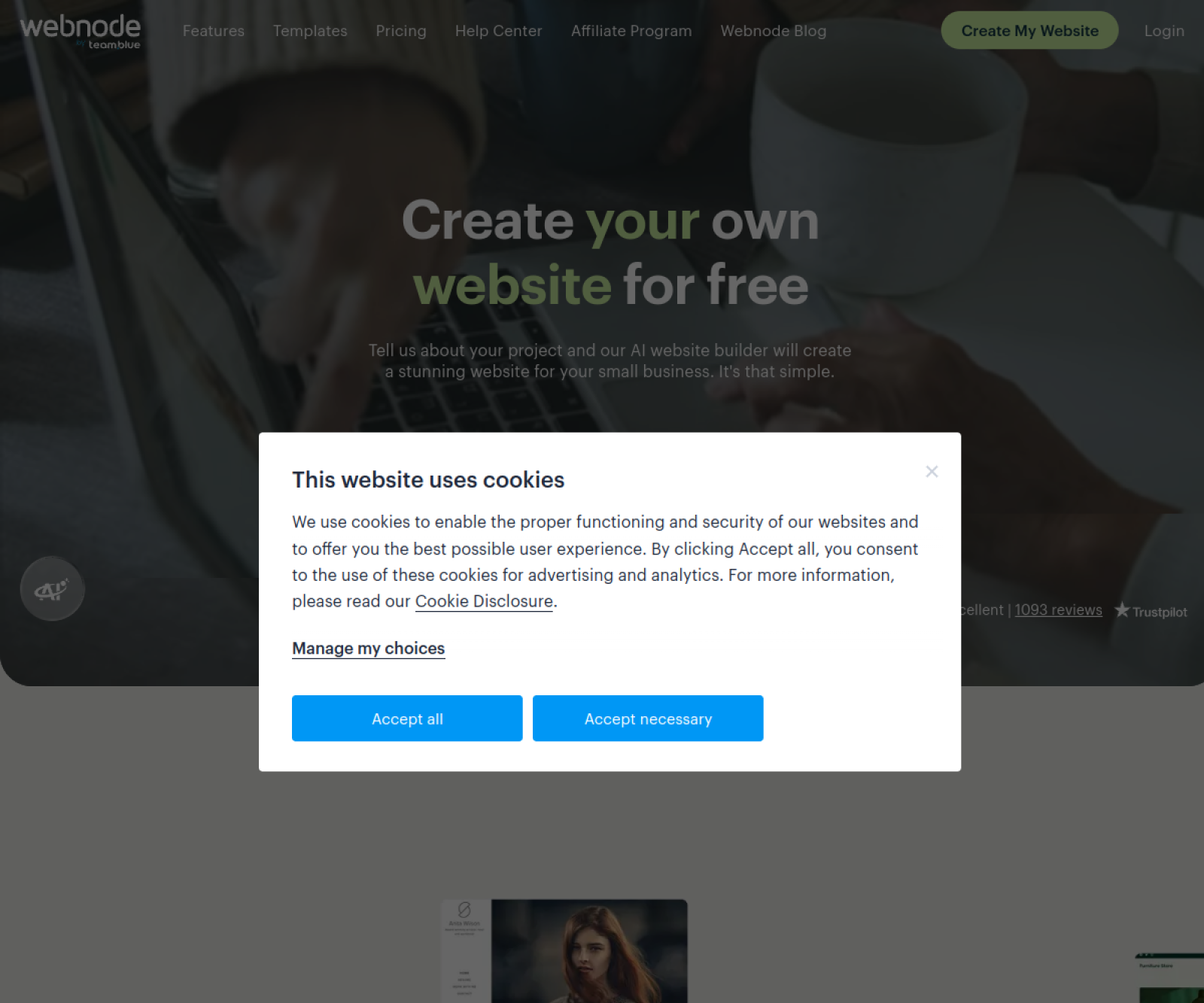 Webnode website preview